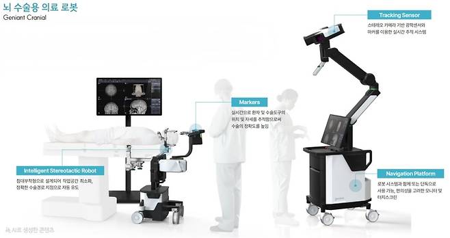 지니언트 크래니얼. /고영