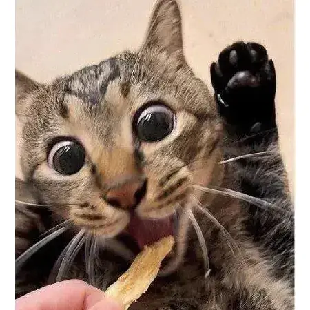 7eef807eb1836ef76dee85e112d3726a1609ae906ed2e0b92925fe97407315b21faeed1be98406292187c3fb59dfc74284