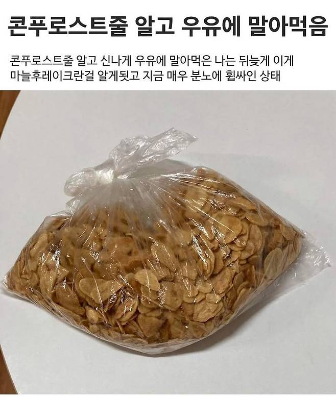 콘푸로스트인줄 알고 우유에 말아먹음