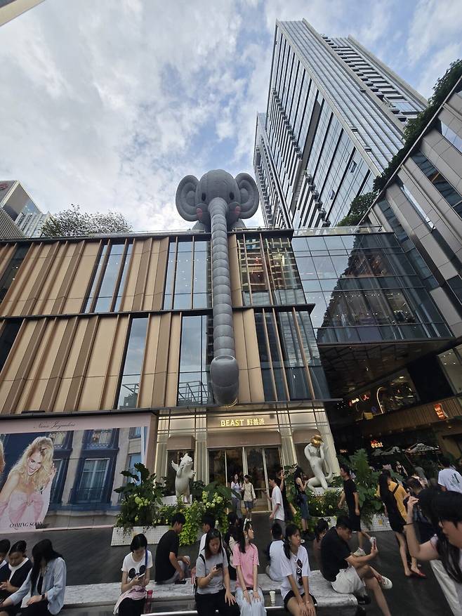 최근 심천출장 쇼핑거리(feat한류)