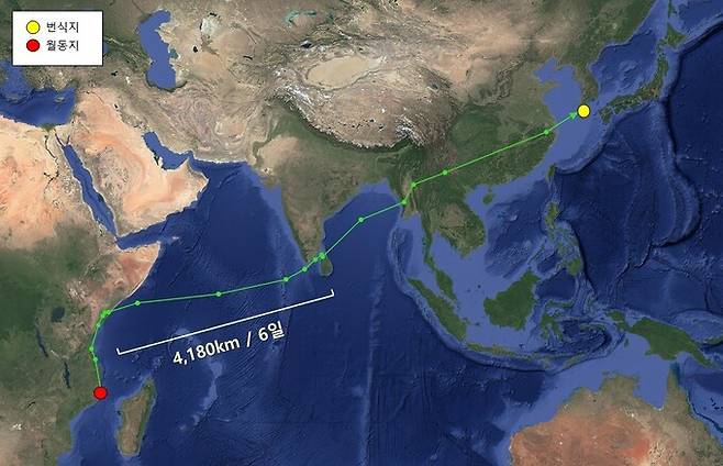 아프리카에서 월동을 마치고 지난 4월 우리나라로 돌아온 경로. 이 개체는 4월 초순 모잠비크에서 출발해 6월 초 제주에 도착했다. 국립생물자원관 제공