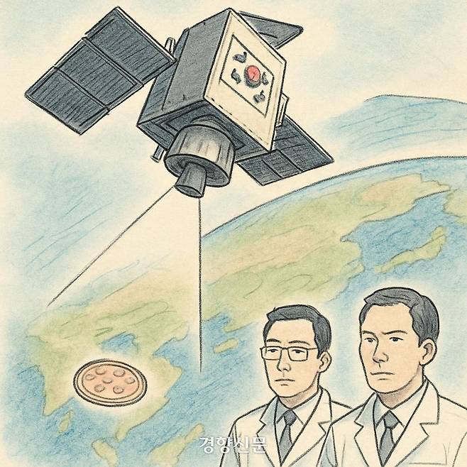 일러스트 | NEWS IMAGE