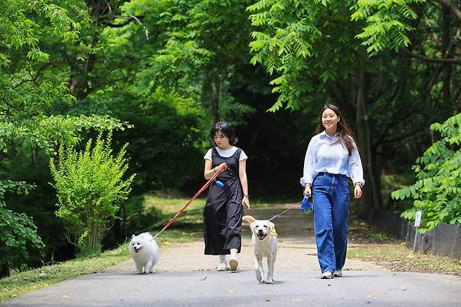 강아지와 함께 산책하는 시민들.[헤럴드DB]