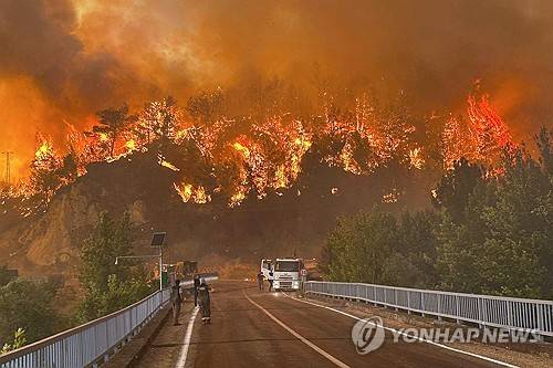 24일(현지시간) 튀르키예 카라부크 지역 산불 [IHA/AP 연합뉴스 자료사진. 재판매 및 DB 금지]