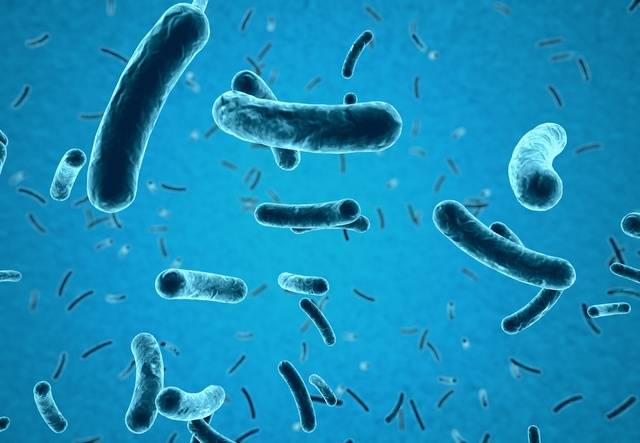 대장암 환자에게서 발견되는 ‘푸조박테리아’가 치료 후 예후가 나빠지는 기전을 확인한 연구 결과가 나왔다. 사진은 기사의 특정 사실과 관련 없음. 게티이미지뱅크