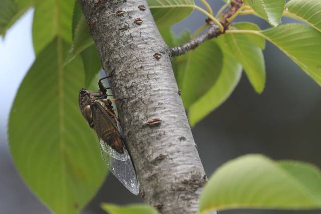 사진은 기사 내용과 무관함. 뉴스1