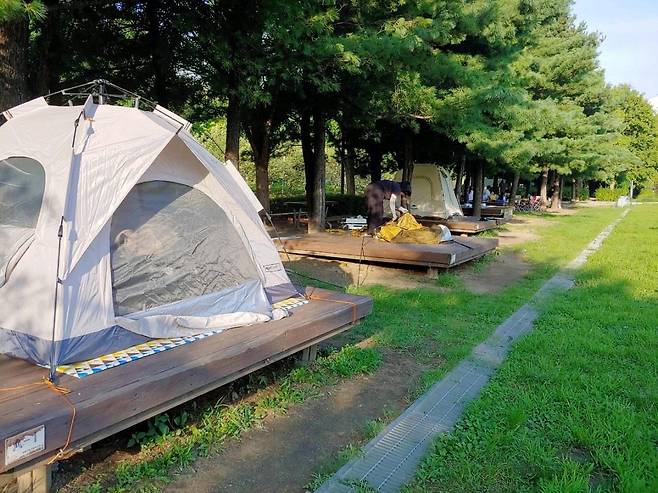 성동 서울숲 여름 캠핑장 [성동구 제공. 재판매 및 DB 금지]