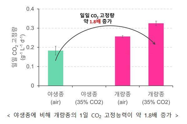 개량종의 이산화탄소 고정량 향상분석. /국립낙동강생물자원관 제공