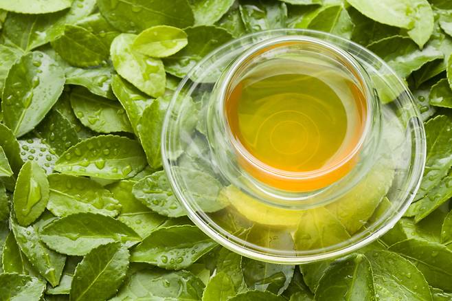 녹차. [사진= 게티이미지뱅크]