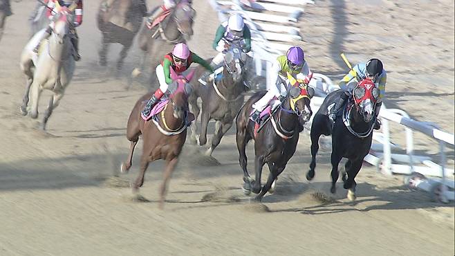 ◇지난 4월 26일 경주에서 질주 중인 에펠탑(보라색 9번). 사진제공=한국마사회