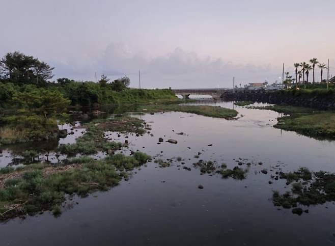 3fb8c32fffd711ab6fb8d38a4783746fa3f5d13caa419635d2191cb14a090b948a8ff64b34e2561ed4f7bdb2