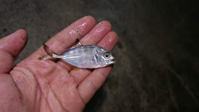 3fb8c32fffd711ab6fb8d38a4483746f32108a8fe654304a81bb6dd48581ca16173cf12df92709b35038073d