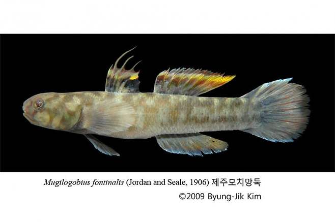 0f94fd01a8e268f63eef86e5448376655cc4de1c4ca1f61ce2dbc0109569b2e1