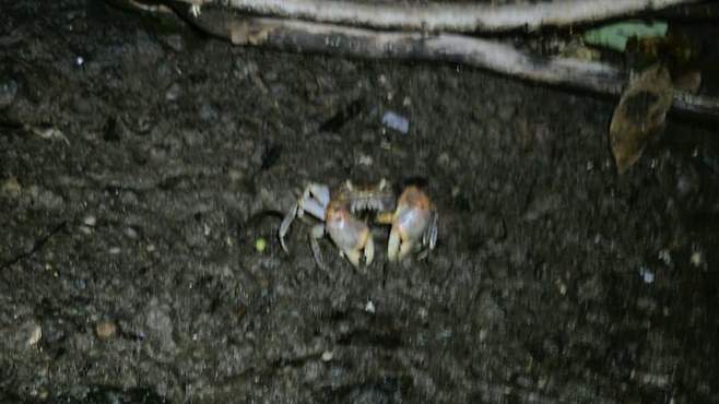 3fb8c32fffd711ab6fb8d38a4780766db022d80de9b52b2b0ab186d52d0e835b4915fda2286a62e1f93e08d47b