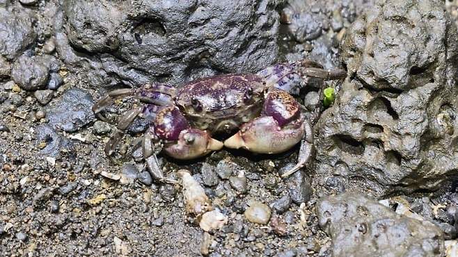 3fb8c32fffd711ab6fb8d38a4480766de22b393e752a2d7e27df8c50f7e9022ffedf7aeba2ce3e3b7cf63f5d45