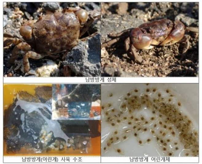 28b9d932da836ff33dec80e741887c6e35107e6c6d3f04628209d632f5f73dd0ed5a