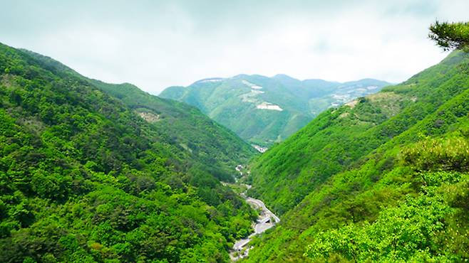 사진 제공 경북 봉화군