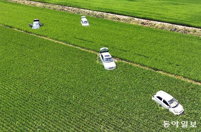 RIBbrT.jpg 최근 동아일보가 찍은 100년만의 폭우왔었다는 서산 지역 근황ㄷㄷㄷ