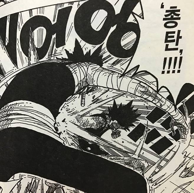 se3_image_1168245137.jpg 소년만화 원피스로 보는 현실