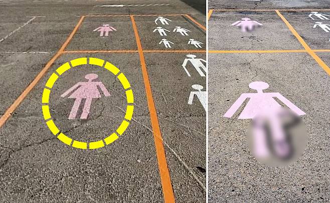스페인 북서부 레온시 곳곳에 생긴 여성 전용 주차 공간. 왼쪽 사진은 시가 이 정책을 시행한 지 일주일 만에 분홍색 여성 이미지에 남성 성기가 덧그려진 모습. 사진 엑스(X) 캡처