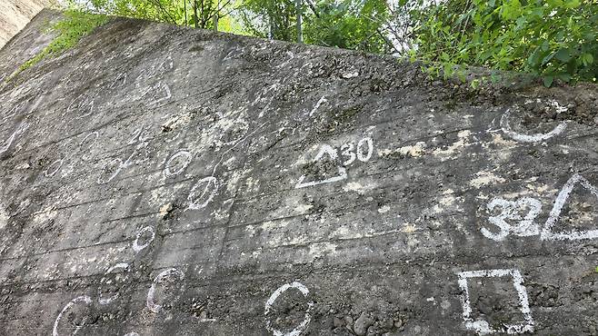 6·25전쟁 당시 충북 영동에서 미군에 의해 저질러진 민간인 학살 사건 흔적이 남아 있는 노근리 쌍굴다리 벽면. 하얀 동그라미 표시는 탄흔(탄환을 맞은 자국), 세모는 실제 미군이 쓴 총알 탄환으로 밝혀진 것, 네모는 콘크리트 구조물 결함인지, 탄흔인지 확인이 어려운 것을 뜻한다. 민소영 기자