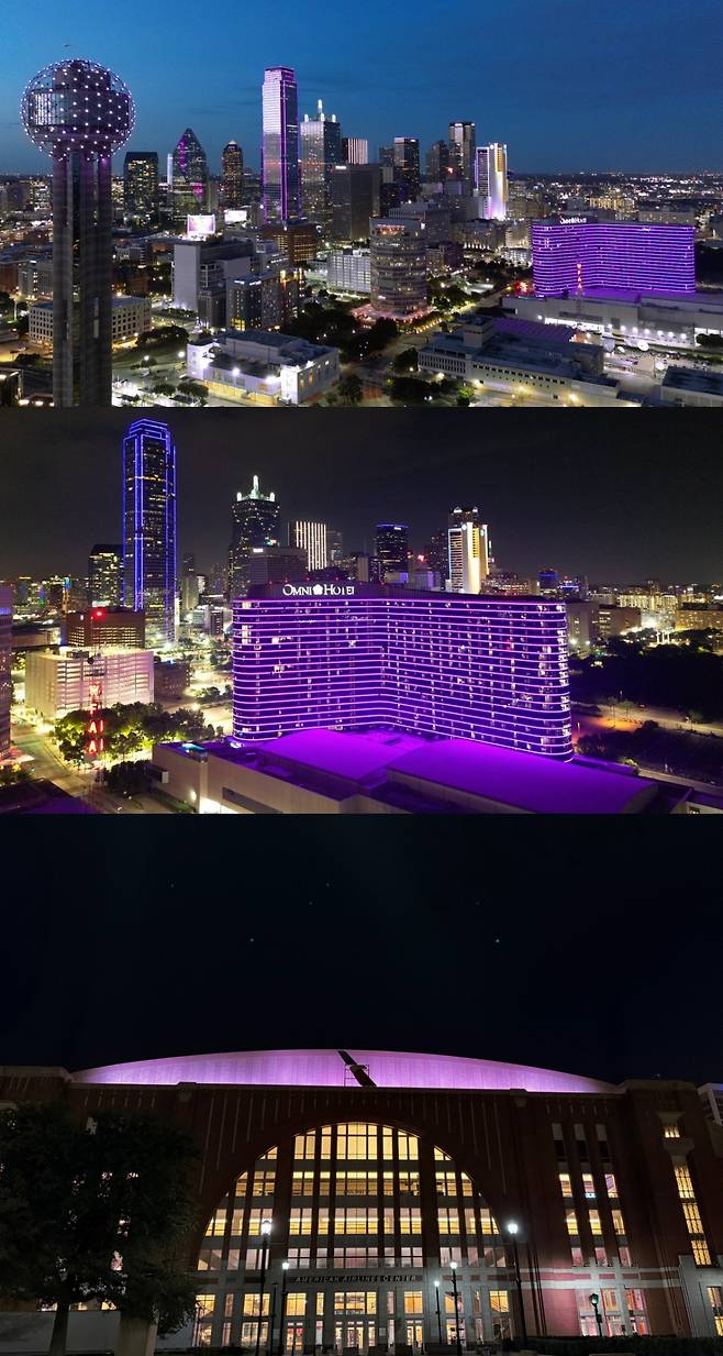 '정원 초과 매진' 방탄소년단 진, 美 댈러스 공연도 최고의 기록.."숨 막힐 듯 아름다운 비주얼 걸작"