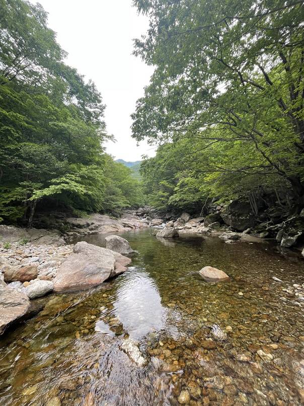지리산 피아골