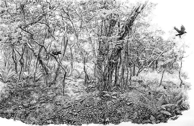김영화,&nbsp; &nbsp;그 겨울로부터,&nbsp; &nbsp;2024,&nbsp; &nbsp;종이에 펜,&nbsp; &nbsp;112x300cm, 4폭 / 사진=제주갤러리