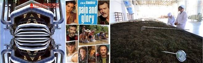 왼쪽부터 암모니아 애비뉴 앨범, <Pain and glory> 드라마 포스터. 보이숙차 제조 과정. [사진=유영현 제공]