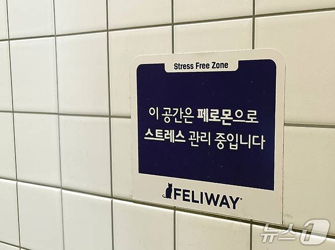 원헬스동물의료센터가 국제고양이의학협회(ISFM) 고양이 친화 동물병원 골드 레벨 인증을 획득했다(동물병원 제공). ⓒ 뉴스1