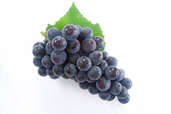 포도가 근육 건강 개선에 도움이 된다는 동물실험 결과가 나왔다./사진=클립아트코리아