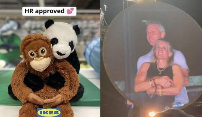 이케아 싱가포르가 미국 IT기업 '아스트로노머' 임원들의 불륜 장면을 패러디해 마케팅 중이다. 사진은 이케아가 패러디한 인형(왼쪽)과 아스트로노머 불륜 임원. /사진=인스타그램, 'X'(엑스·옛 트위터) 캡처