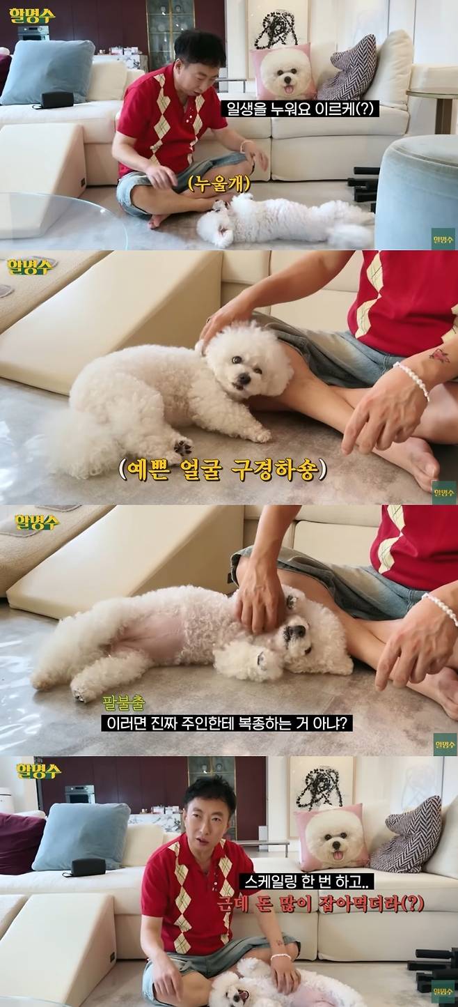 채널 ‘할명수’