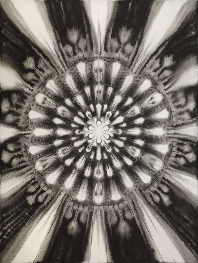 남궁환, Entoptima, 76x56cm, 2019, ink on paper *재판매 및 DB 금지