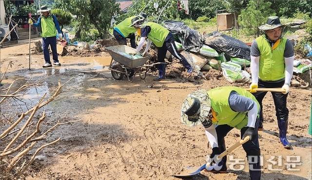 23일 경남 산청지역 수해 복구활동에 나선 울산농협본부 직원들이 지역주민 주택에 밀려든 토사를 처리하고 있다.