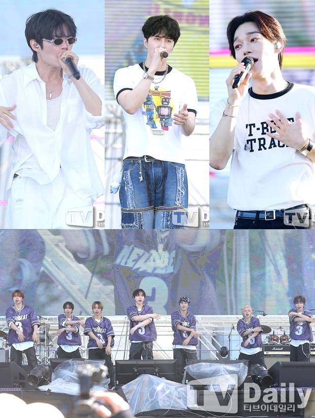 티브이데일리 포토