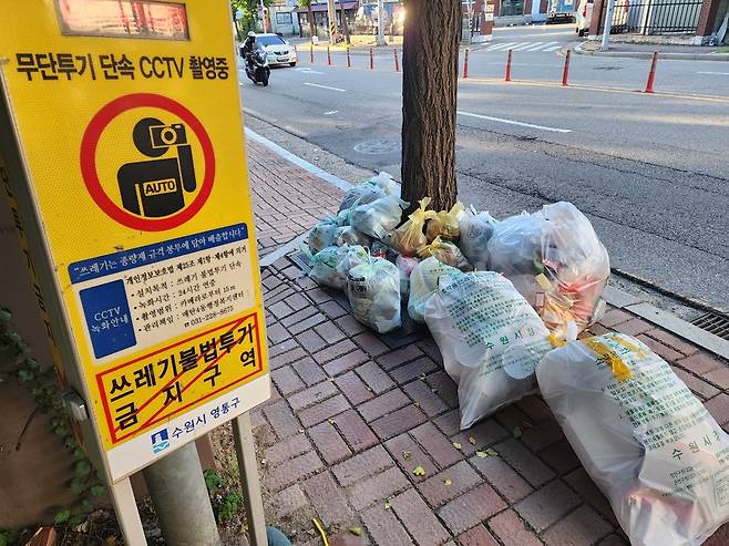 지난 26일 수원시 영통구 매탄동의 한 보행로에 주말임에도 쓰레기가 쌓여 보행자들의 통행을 방해하고 있다.