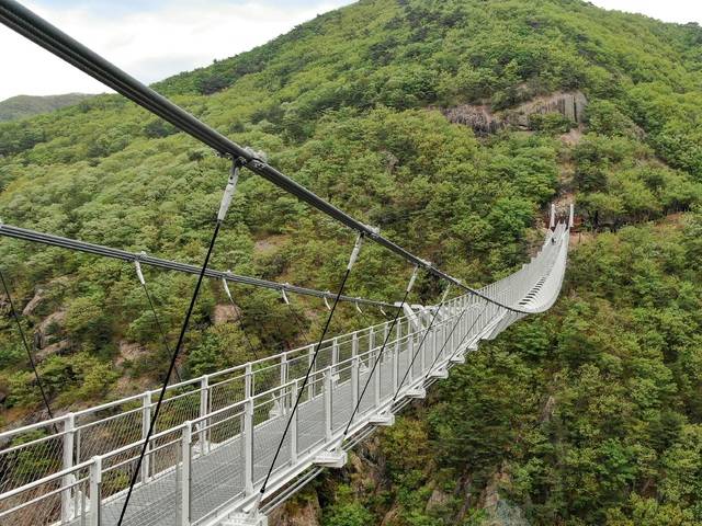 진안 구봉산 출렁다리./사진=전북도.