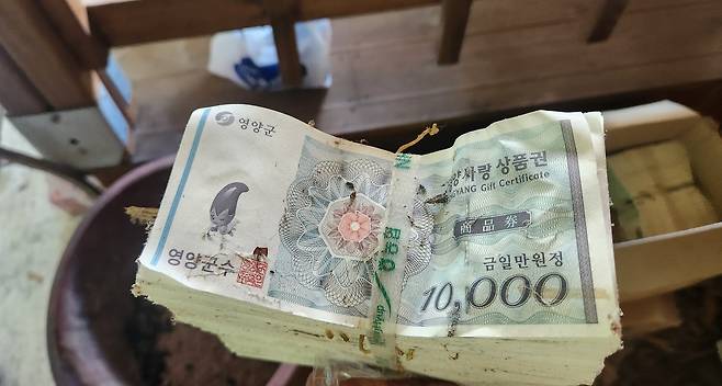 지난 24일 112신고 당시 현장에서 발견된 1000만원 묶음 상품권. 발행일은 2022년으로, 2027년까지 사용 가능한 상태로 아직 유효기간이 남아 있어 실제로 시중에 유통될 경우 현금처럼 사용할 수 있는 상황이었다. /112제보자 제공