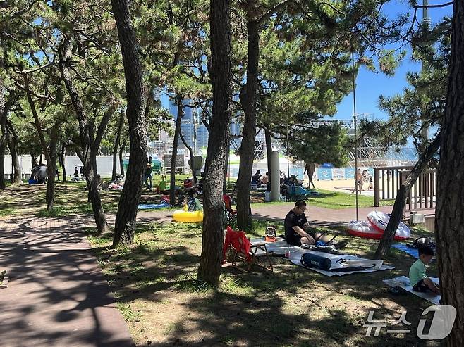 27일 오후 부산 해운대해수욕장 인근 나무 그늘 아래 사람들이 돗자리를 펴고 앉아있다.2025.7.27/뉴스1 ⓒ News1 장광일 기자