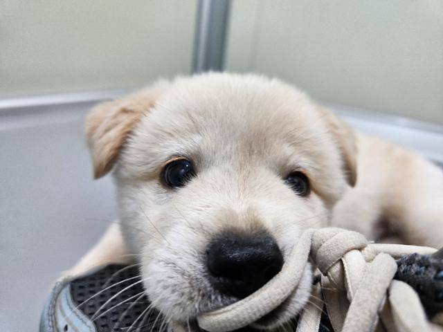 사람을 좋아하는 은비가 평생 가족을 기다리고 있다. 팅커벨프로젝트 제공