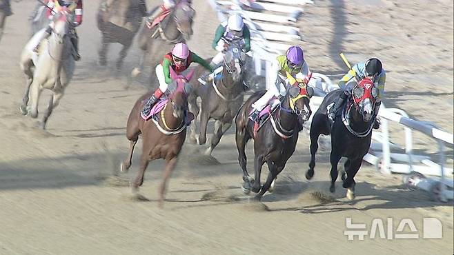 [서울=뉴시스] 지난해 4월27일 제10경주에서 압도적인 질주로 우승을 차지한 경주마 '에펠탑(오른쪽에서 2번째). (사진=한국마사회 제공)