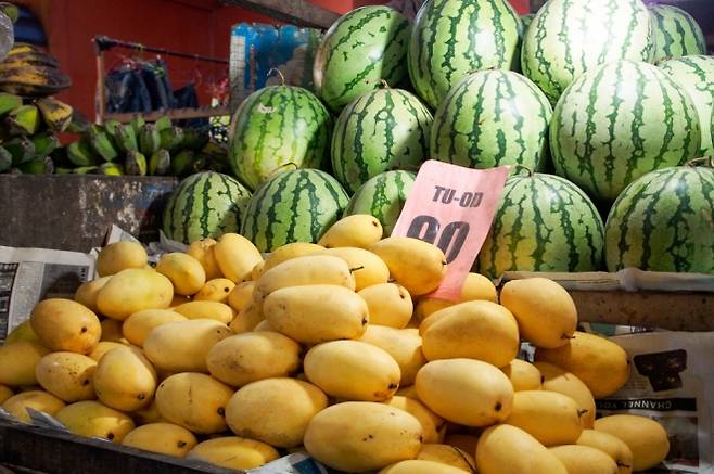 수박 망고 자료 이미지. 아이클릭아트