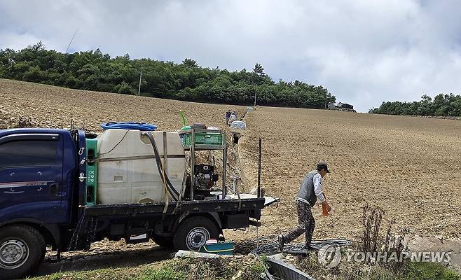 고랭지 배추밭에 등장한 물차…강릉 안반데기 (강릉=연합뉴스) 유형재 기자 = 11일 국내 최대의 고랭지 채소단지인 강원 강릉시 왕산면 안반데기에 물차가 동원돼 배추밭에 물을 주고 있다. 2025.7.11 yoo21@yna.co.kr