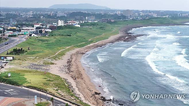 제주 신양사구   (서귀포=연합뉴스) 박지호 기자 = 지난 10일 제주 서귀포시 성산읍 신양사구의 모습. 2025.7.10
    jihopark@yna.co.kr
(끝)