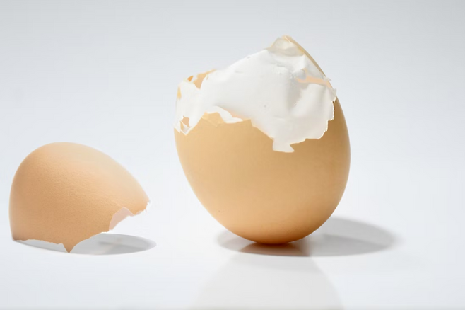 달걀