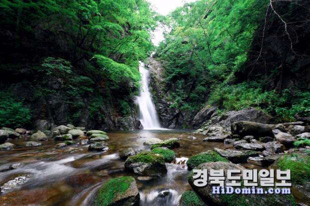영주시 소백산 자락에 위치한 희방폭포. 높이 28m의 물줄기가 수직 절벽을 따라 시원하게 쏟아져 내려 장쾌한 장관을 연출하며, 여름철 피서지로 큰 인기를 끌고 있다.