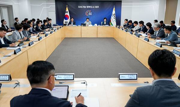 28일 열린 제주도 주간혁신성장회의.