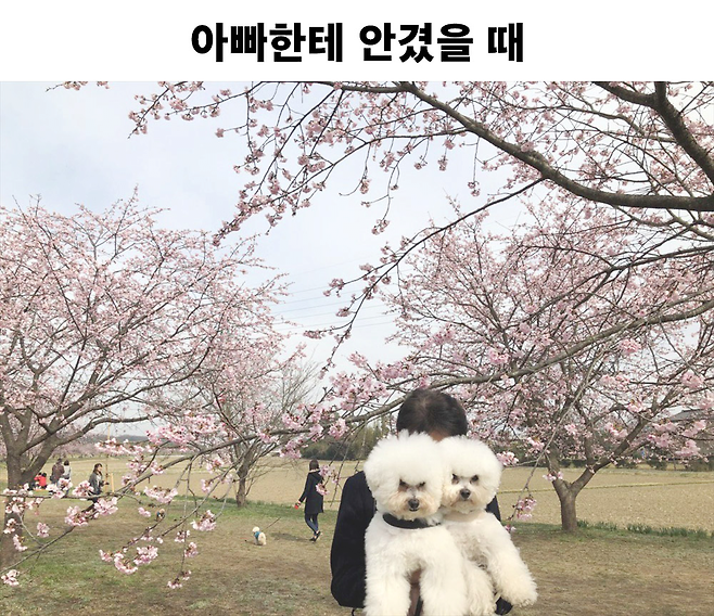 엄마가 안았을 때와 아빠가 안았을 때의 차이