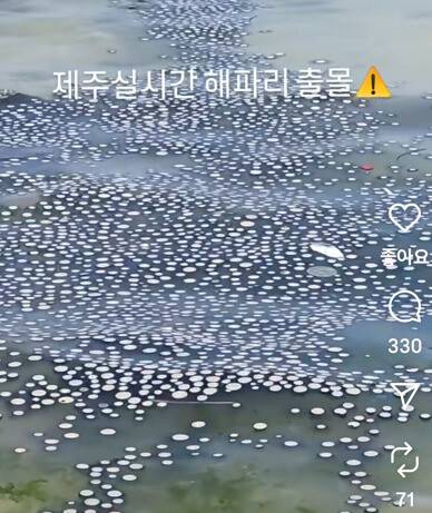 지난 26일 제주시 조천읍 신흥해수욕장. 인스타 @only_chavely 제공